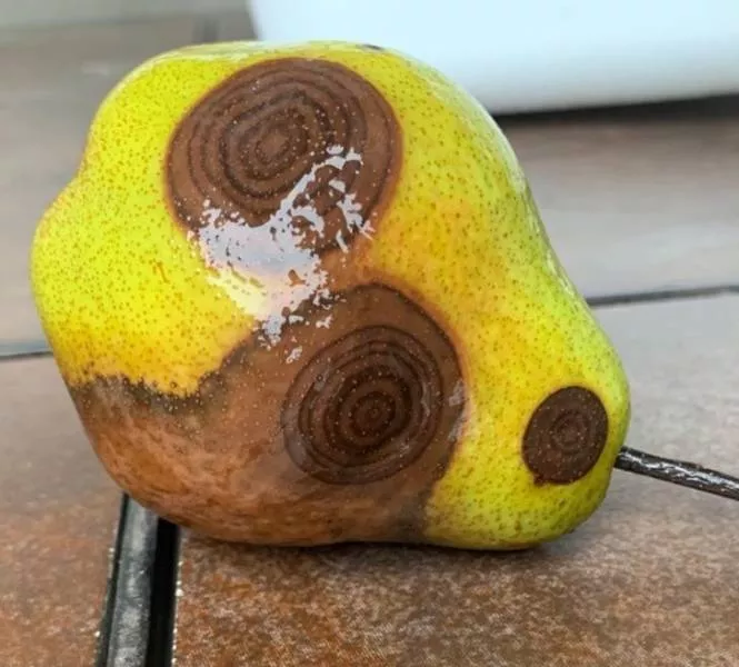 Nature is fantastic - #36 
