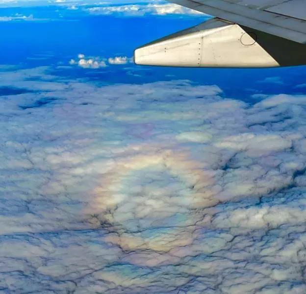 Nature is fantastic - #46 