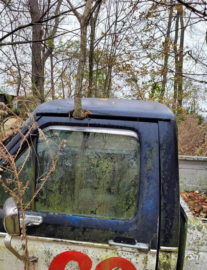 La nature est fantastique - #47 