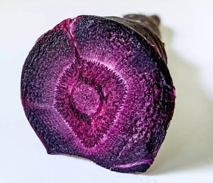 La nature est fantastique - #9 
