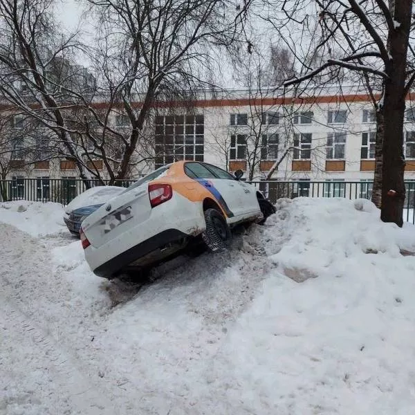 Picdump 587 - #44 
