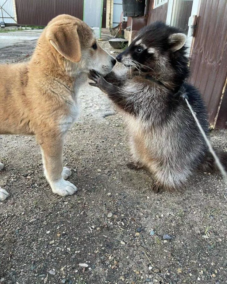 Picdump 588 - #10 