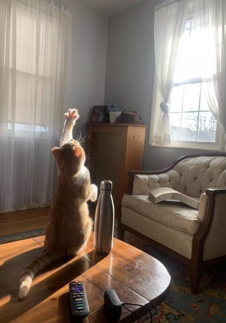 Picdump 588 - #69 