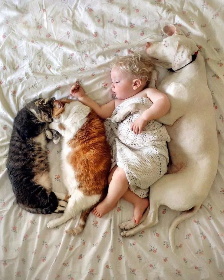 Picdump 588 - #79 
