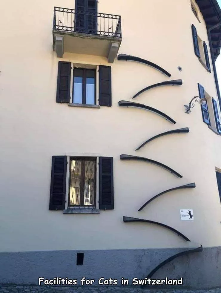 Picdump 589 - #26 