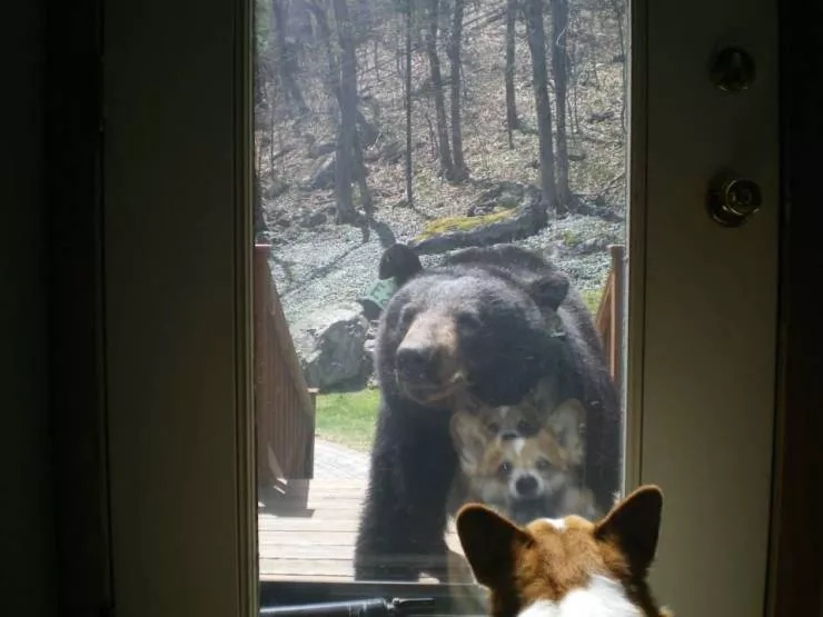 Picdump 590 - #13 