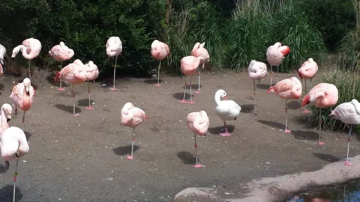 Picdump 590 - #35 