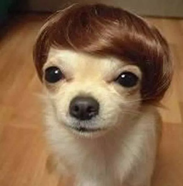 Picdump 591