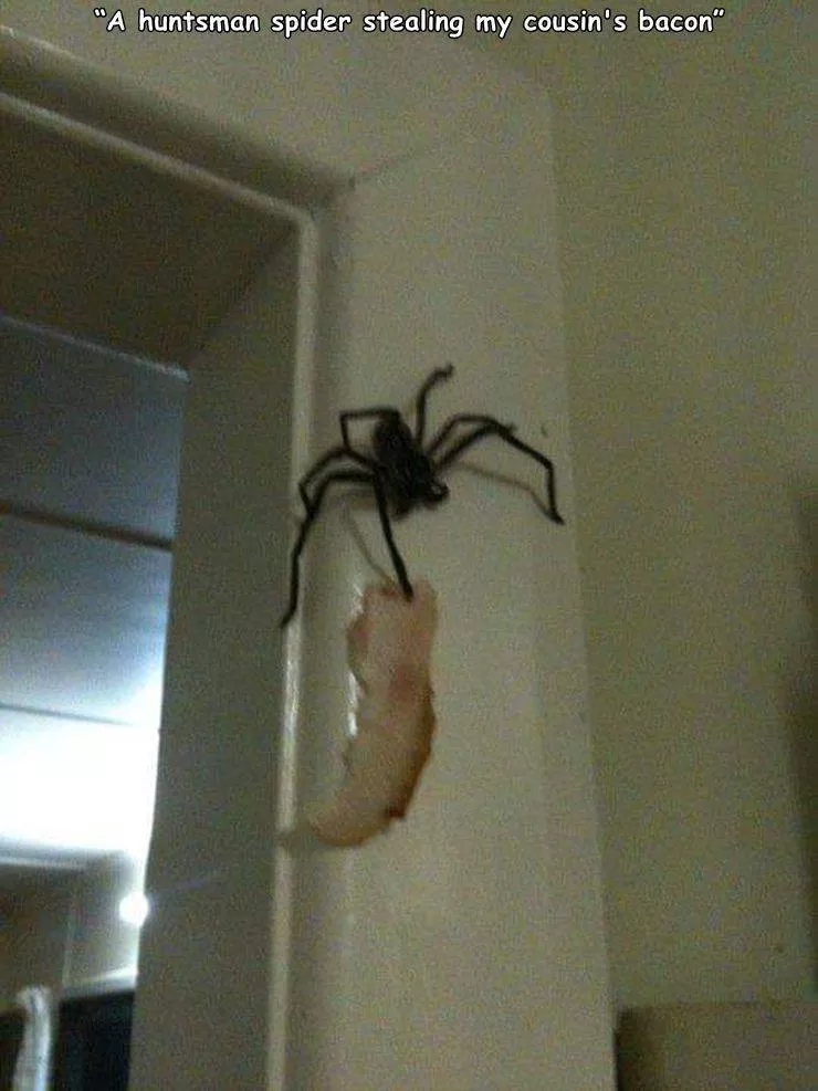 Picdump 591 - #3 
