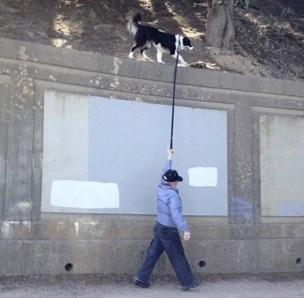 Picdump 592 - #19 