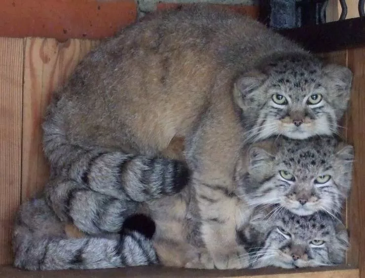 Picdump 592 - #37 