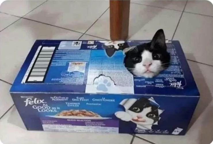 Picdump 592 - #38 