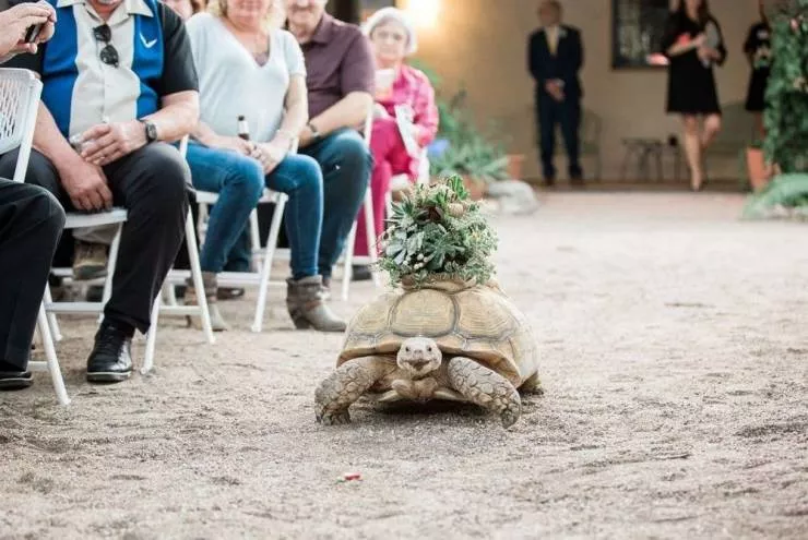 Picdump 592 - #46 