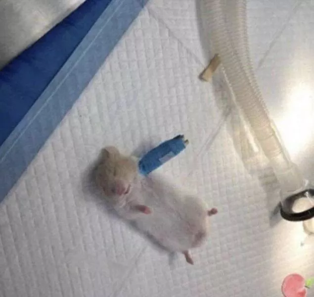 Picdump 592 - #5 