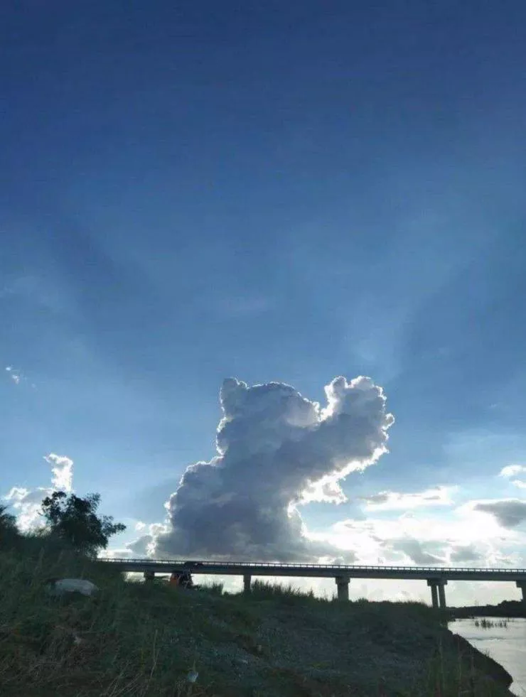 Picdump 592 - #62 