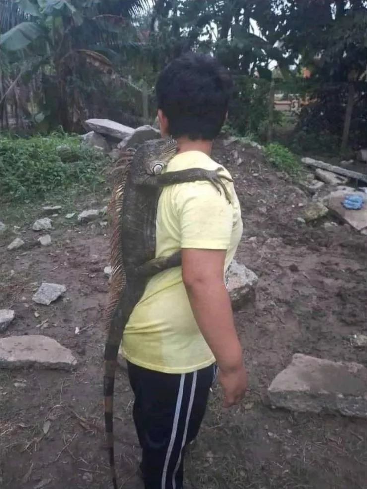 Picdump 592 - #9 