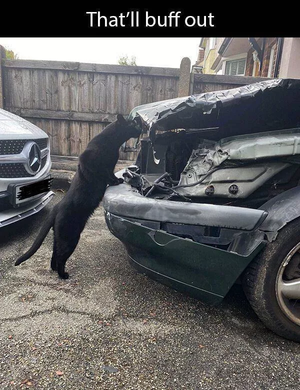 The 40 worst fails of the week - #16 
