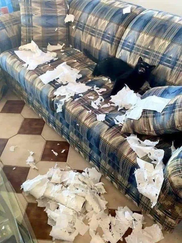 The 40 worst fails of the week - #23 