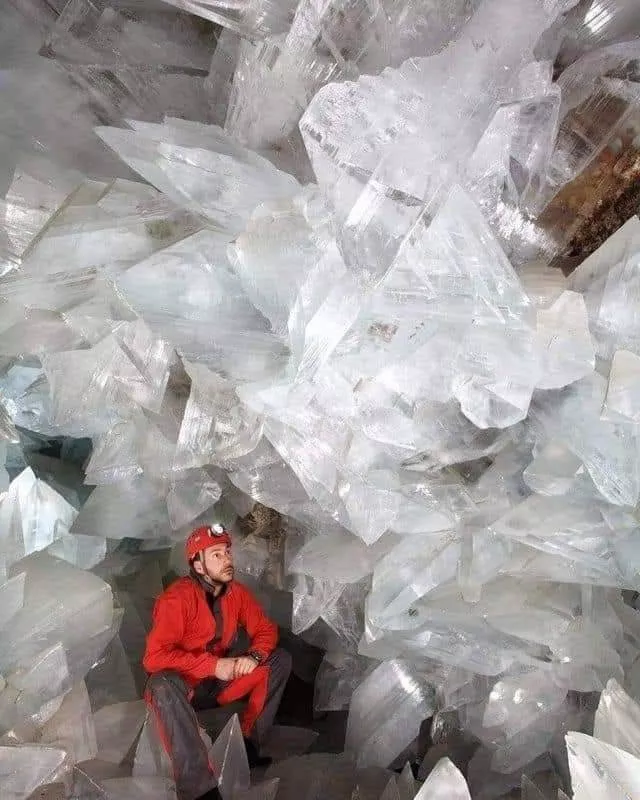 A mixed collection of unexpected images - #27 