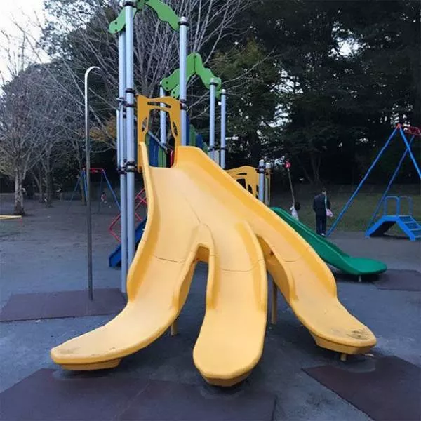A mixed collection of unexpected images - #37 