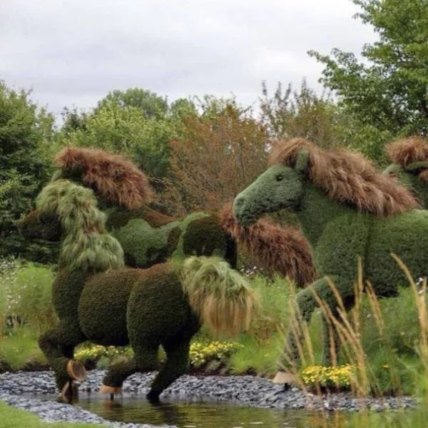A mixed collection of unexpected images - #49 