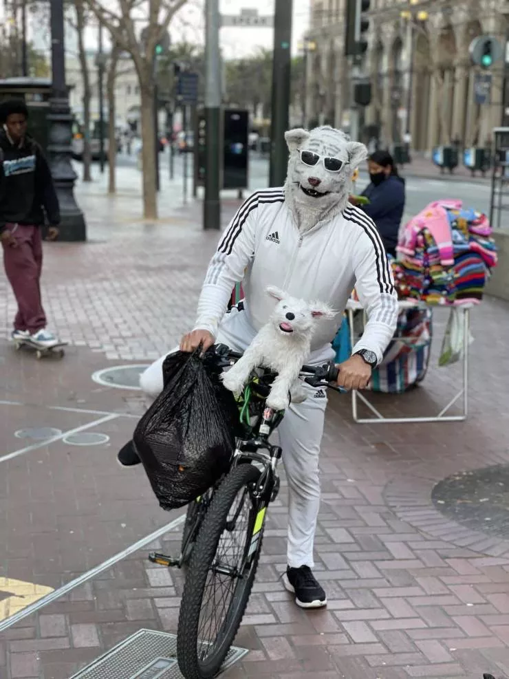 A mixed collection of unexpected images - #52 