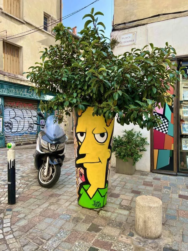 A mixed collection of unexpected images - #65 