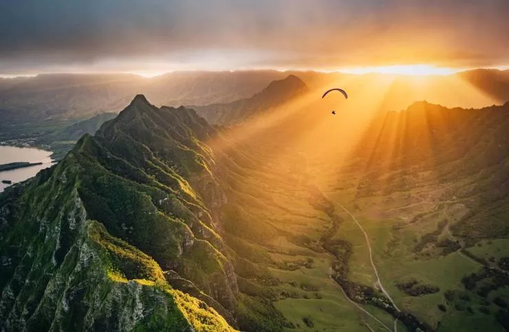 A mixed collection of unexpected images - #78 