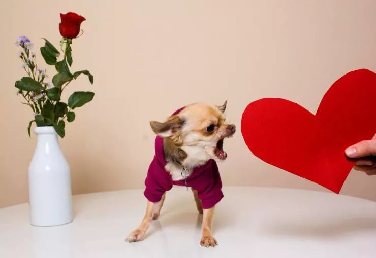 Picdump 594 - #3 
