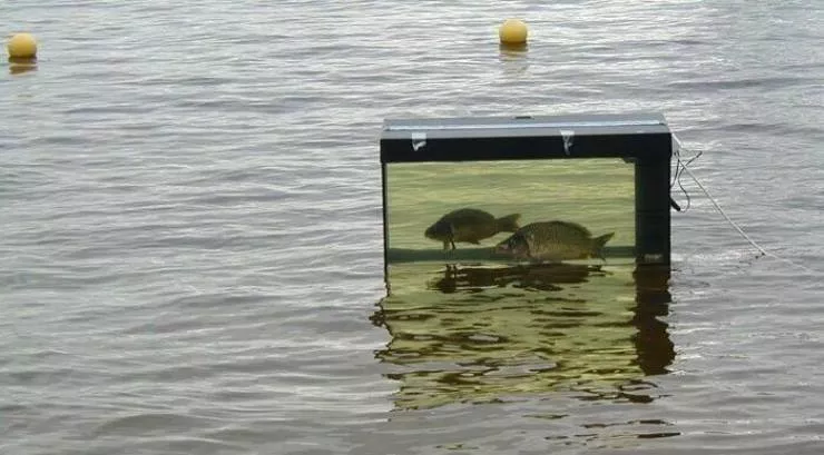 Picdump 594 - #34 