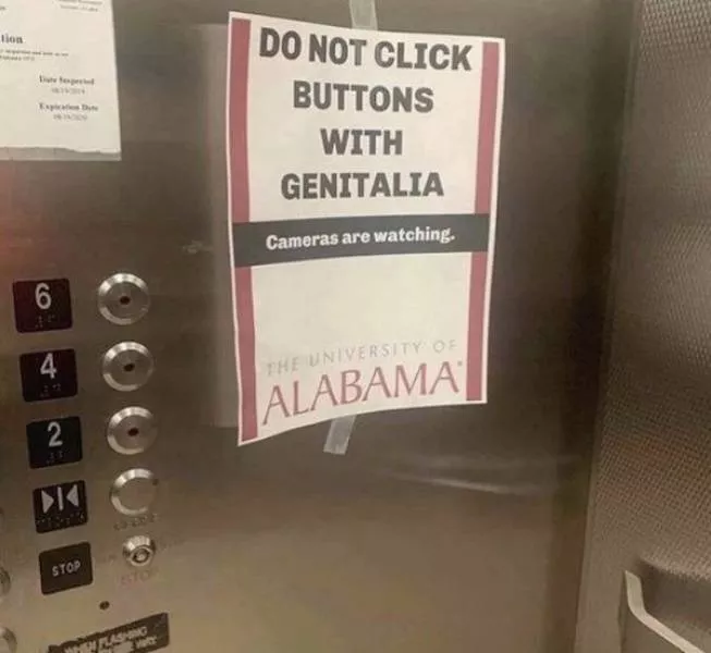 Picdump 594 - #50 
