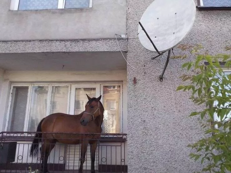 Picdump 595 - #12 