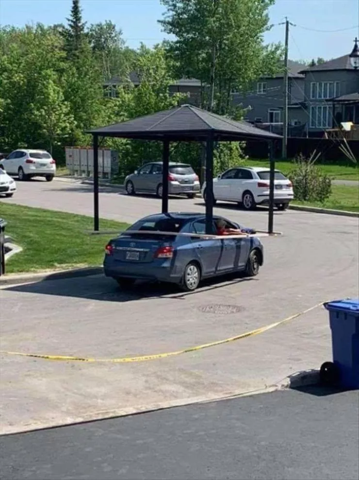 Picdump 595 - #15 