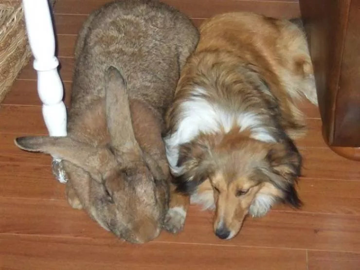 Picdump 595 - #31 