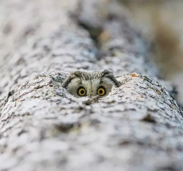 Picdump 595 - #47 