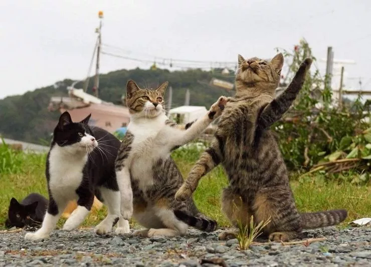 Picdump 595 - #50 