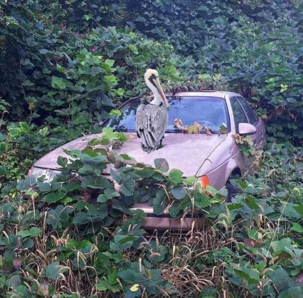 Picdump 595 - #6 