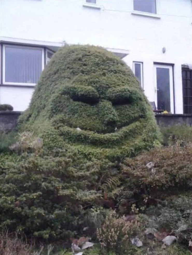 Picdump 595 - #78 