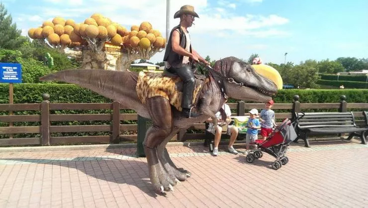 Picdump 596 - #14 