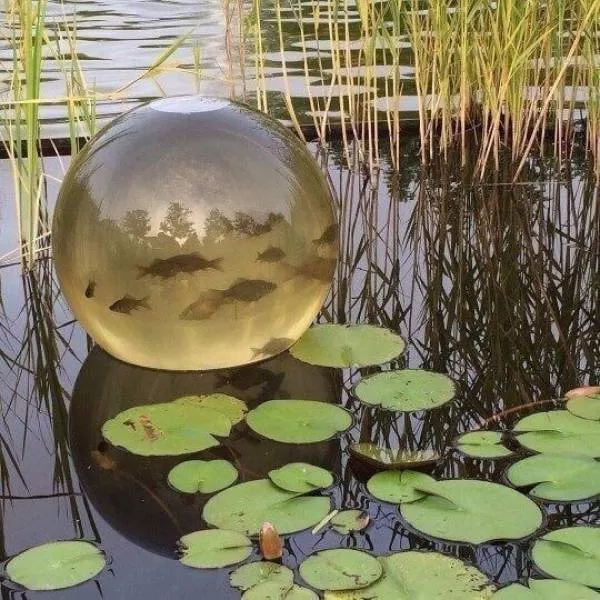 Picdump 596