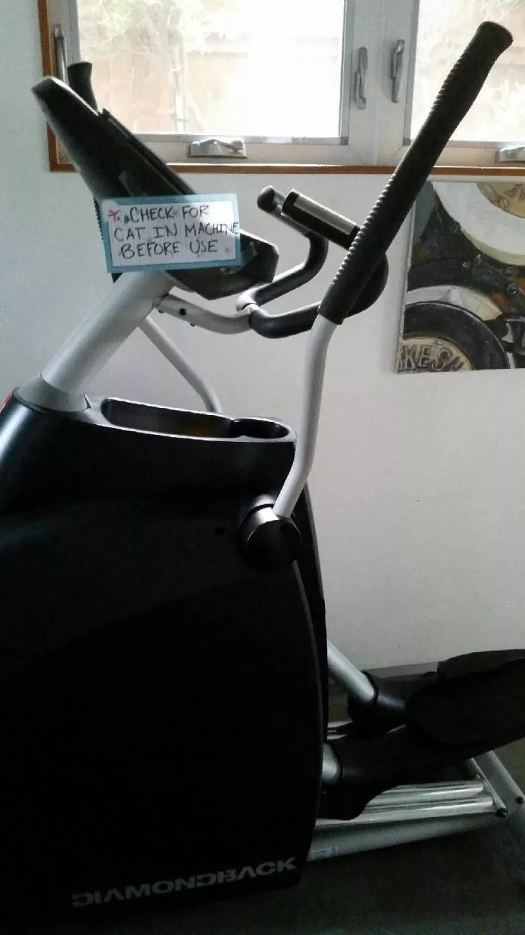 Picdump 596 - #56 