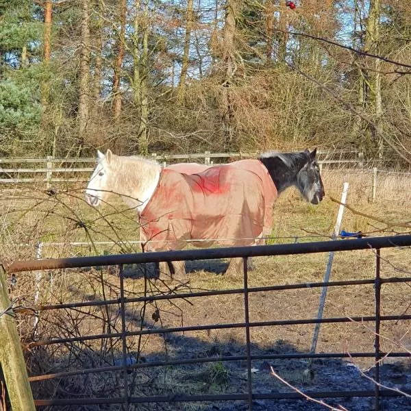 Picdump 597 - #15 