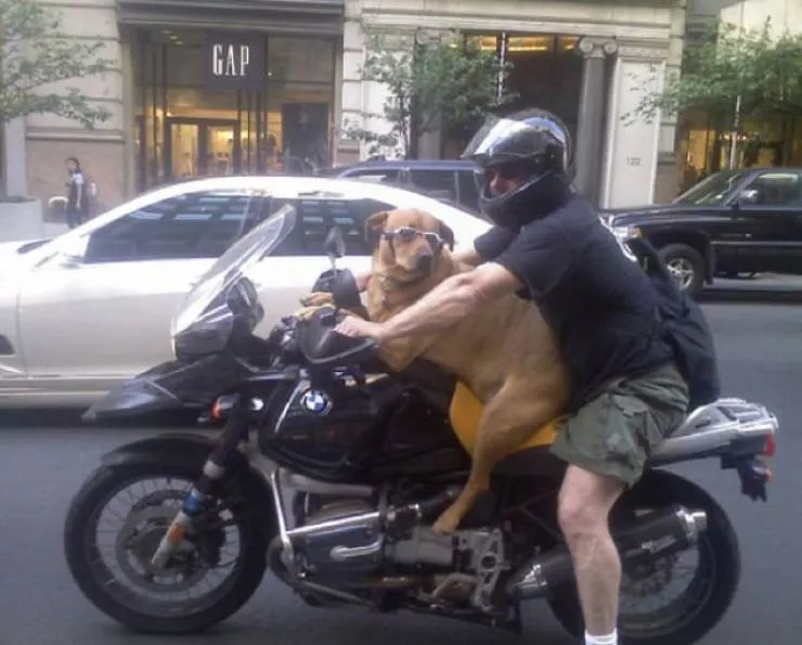 Picdump 597 - #29 