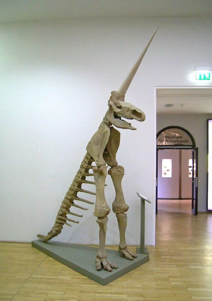 Picdump 598 - #10 