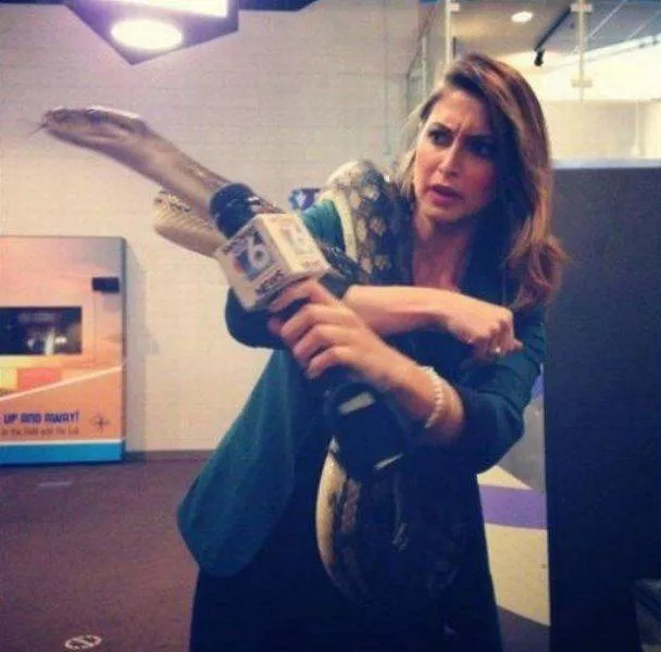 Picdump 598 - #14 