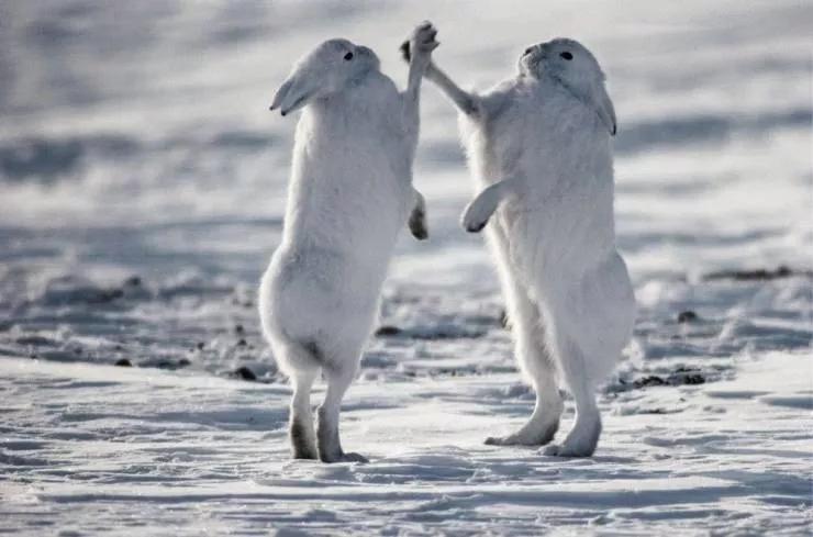 Picdump 598 - #26 