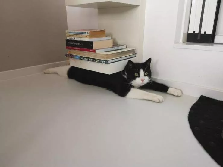 Picdump 598 - #70 