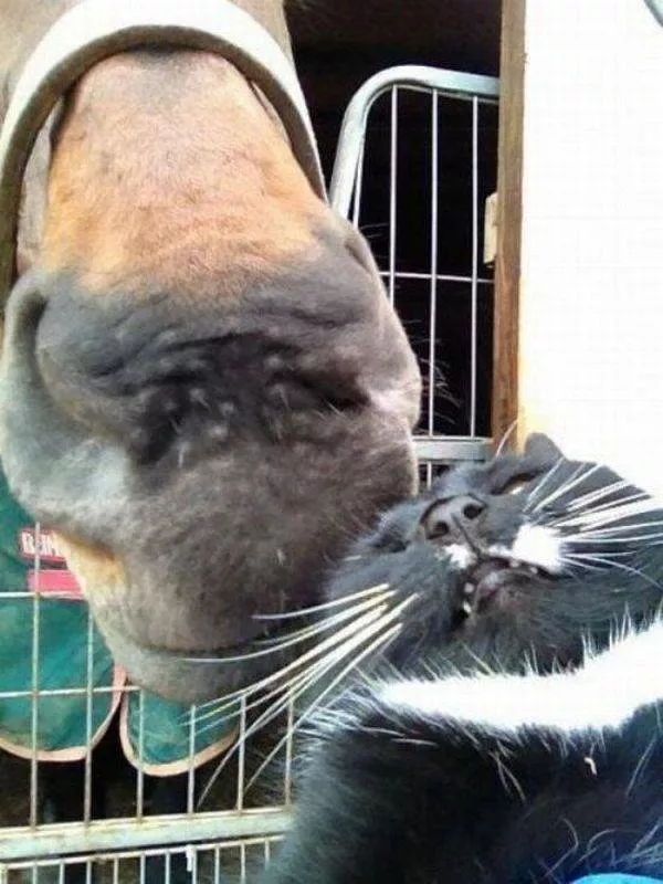Picdump 598 - #71 
