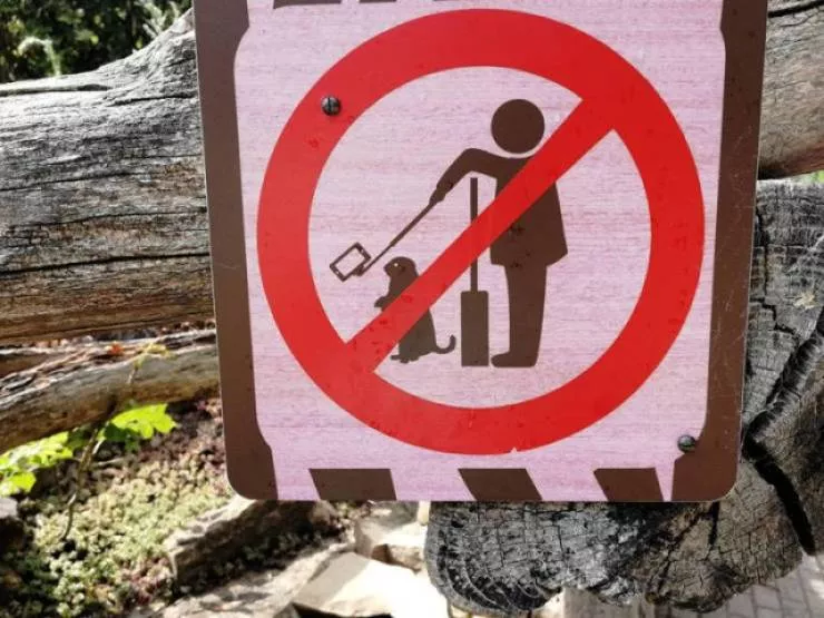 Picdump 599 - #13 