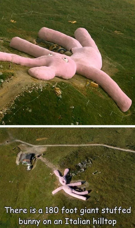 Picdump 599 - #17 